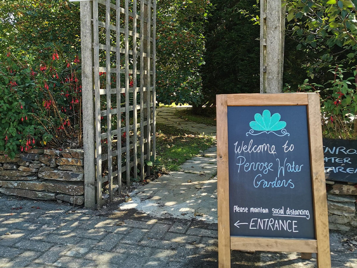 Penrose Water Gardens Things to do in Truro, Cornwall
