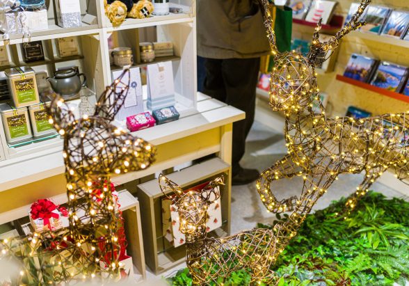 1220-0031 PR4Photos - Truro reindeer