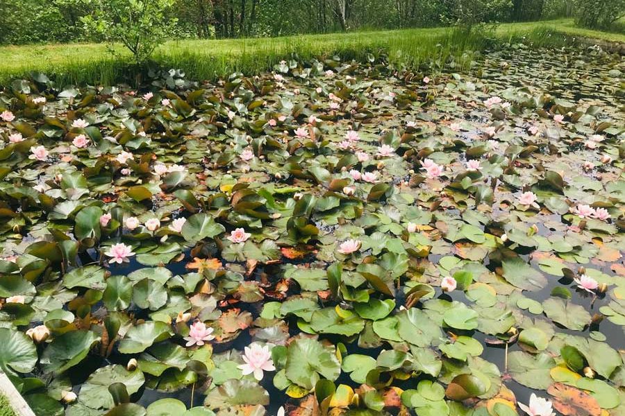 197484199_10221944371733146_8730714683384225846_n