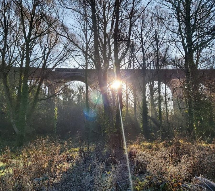 20201126_095734_resized-1-pypkypq9iqs39x4tdu5cxxjpmbt2w3q9hf6nhgz4go