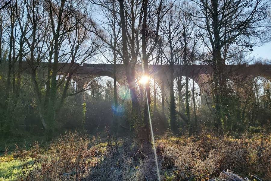 20201126_095734_resized 20201126_095734_resized