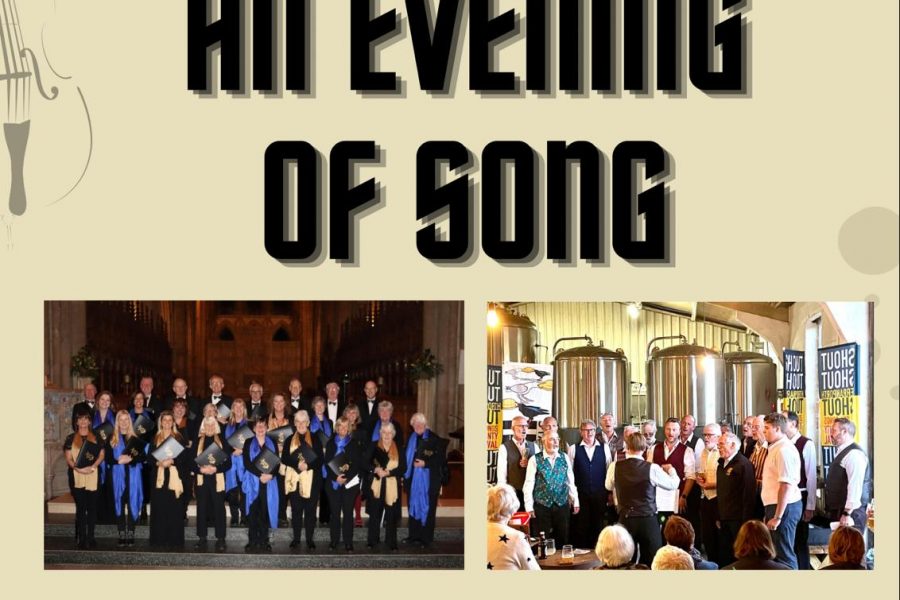 Amicioncert1.11.25Poster