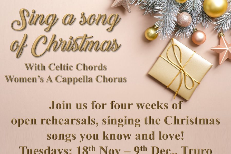 Chrismtas-event-social-media-short
