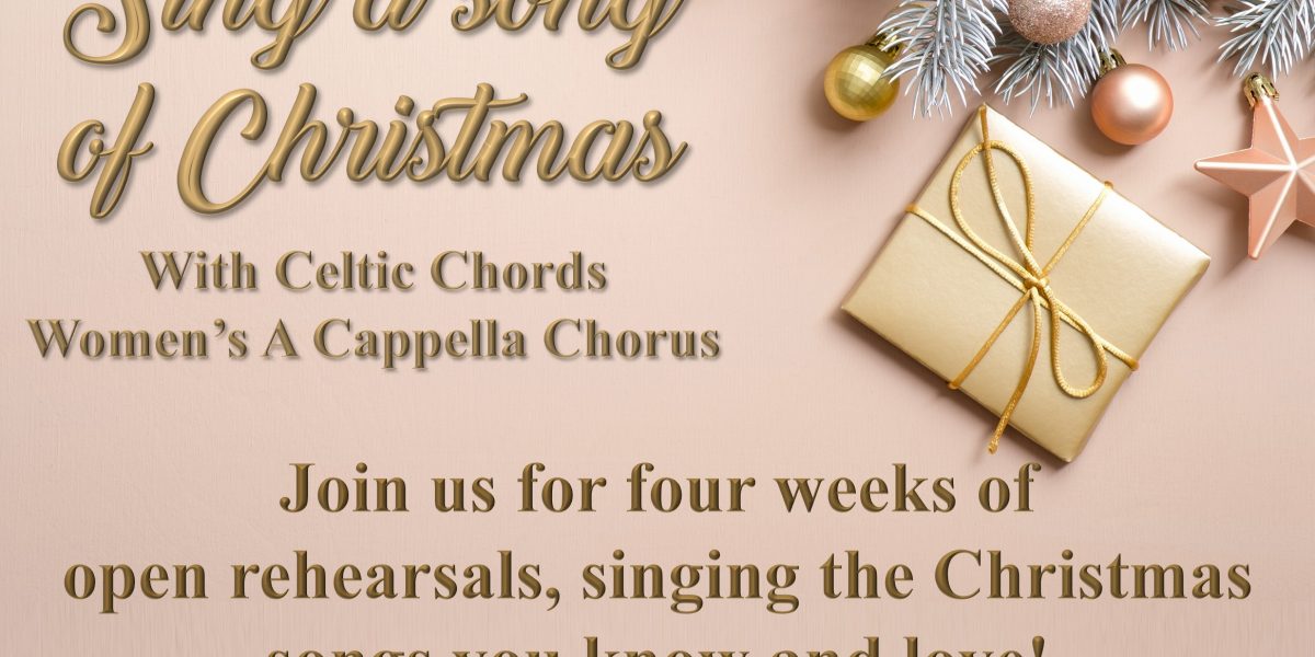 Chrismtas-event-social-media-short