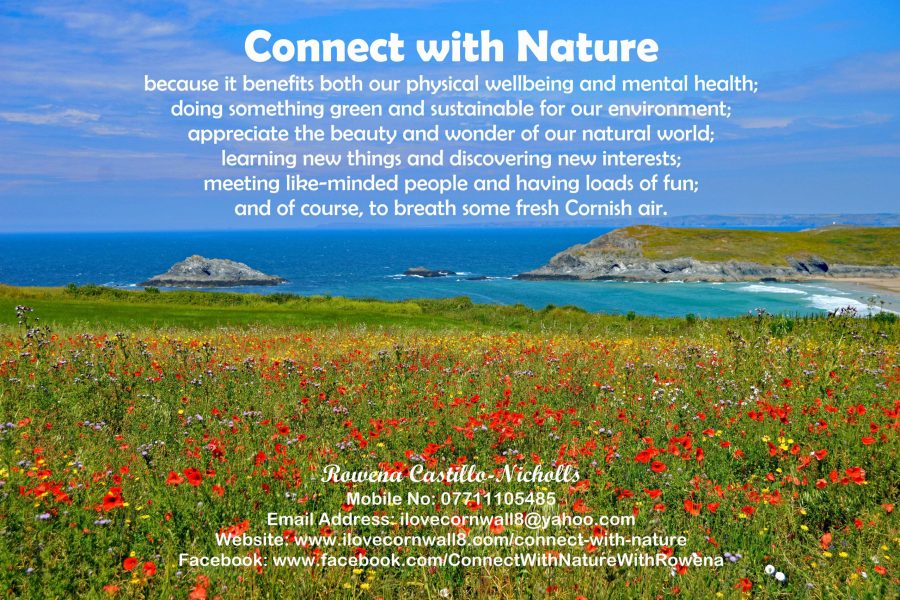 Connect with Nature Logo