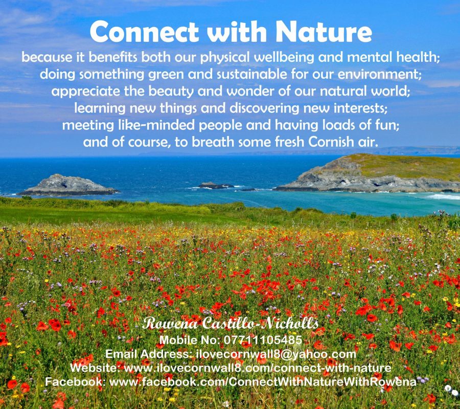 Connect with Nature Logo
