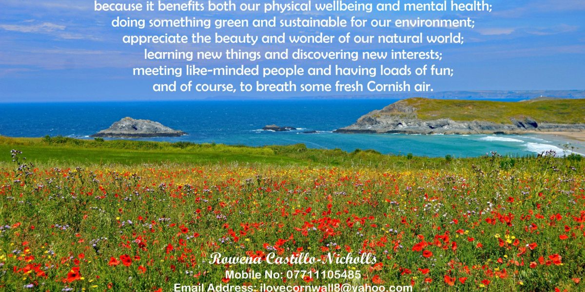 Connect with Nature Logo