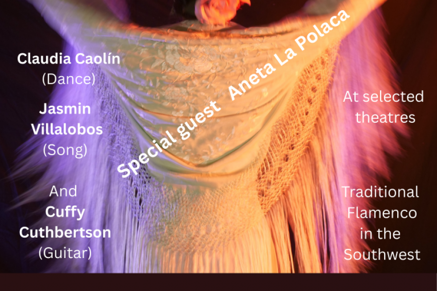 Flamenco-Amor-The-extra-final-version-Medium