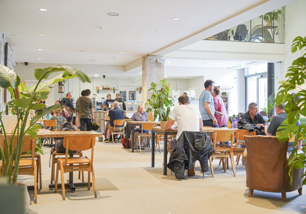 Hall for Cornwall, Truro, England - Aug 24 2022: Marketing shoot in the Green Room Cafe, photographed for the HfC by Hugh Hastings