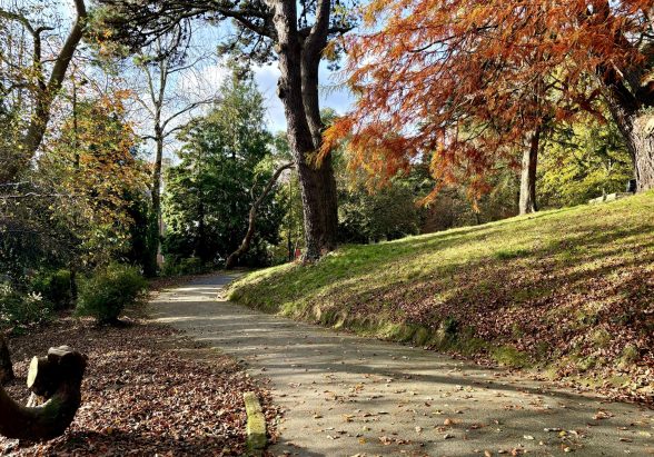 Victoria Gardens Autumn