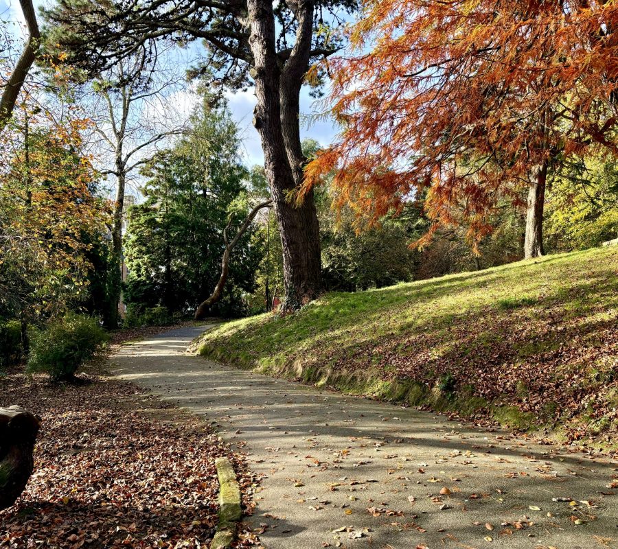 Victoria Gardens Autumn