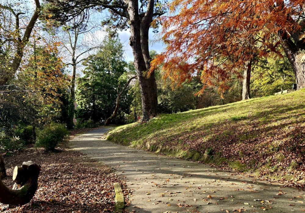 Victoria Gardens Autumn