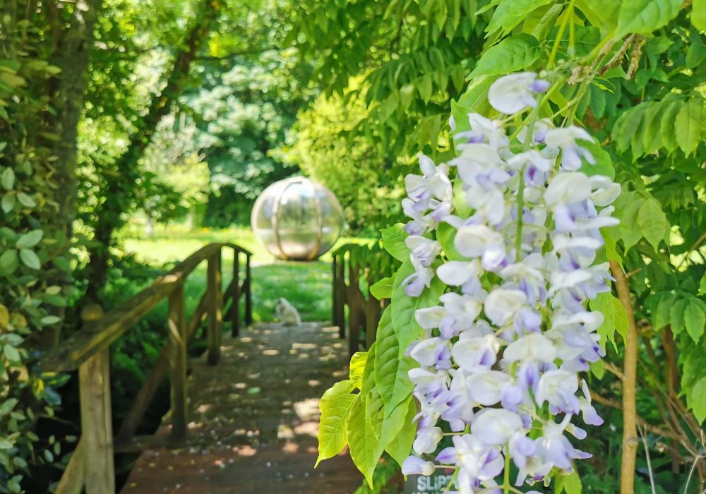 IMG_20200524_120945-scaled