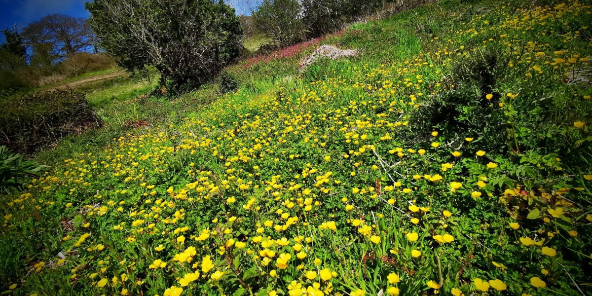 IMG_20210524_1549232