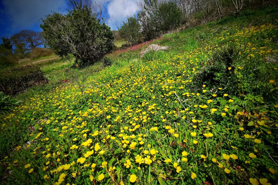 IMG_20210524_1549232