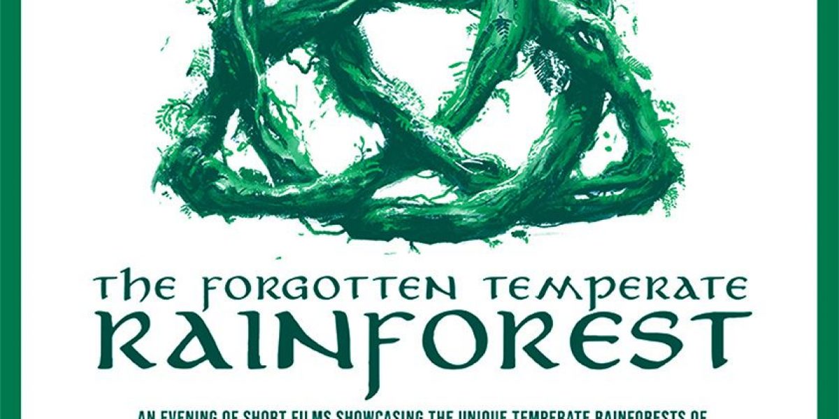Rainforest-Truro-2