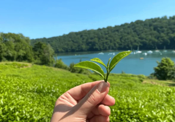 River-Garden-Tour-1