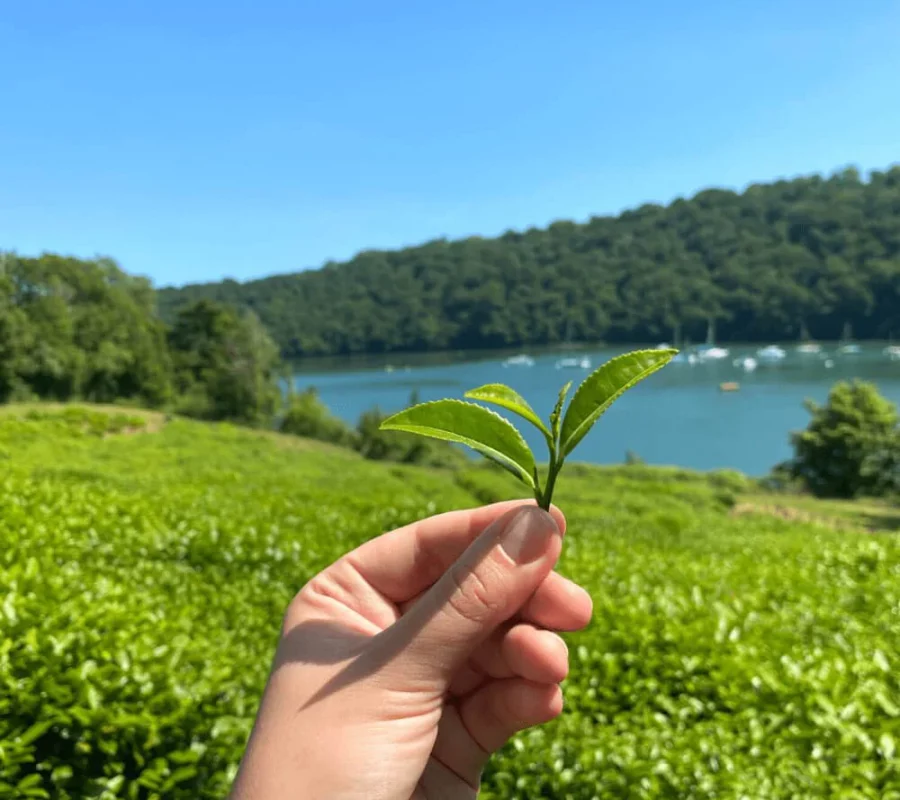 River-Garden-Tour-1