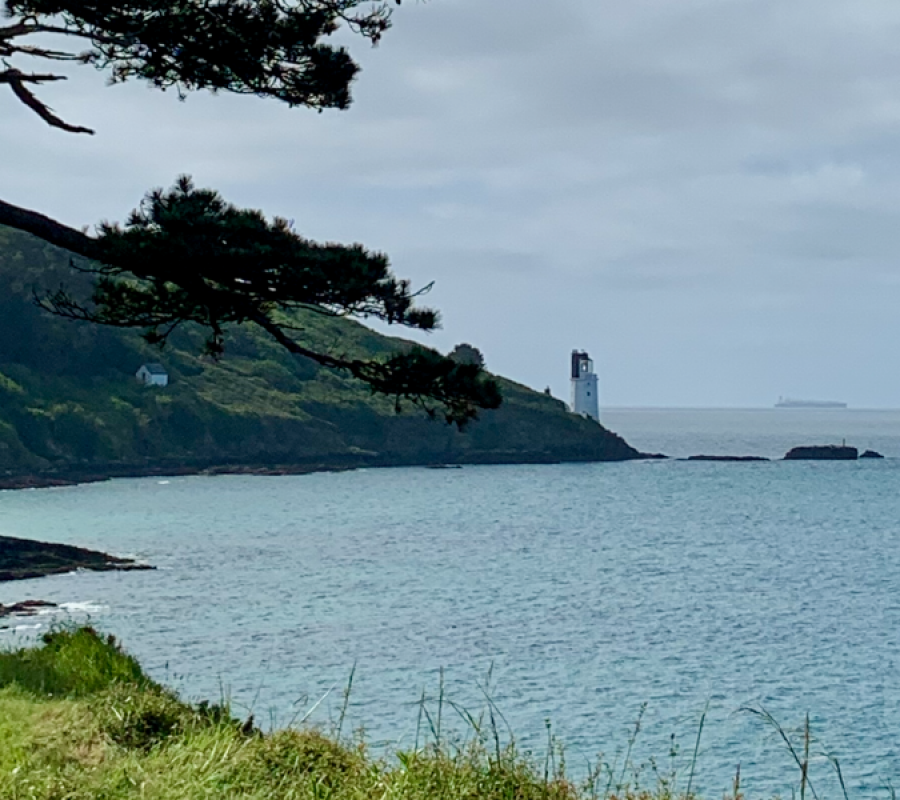 St Anthony Walk Cropped