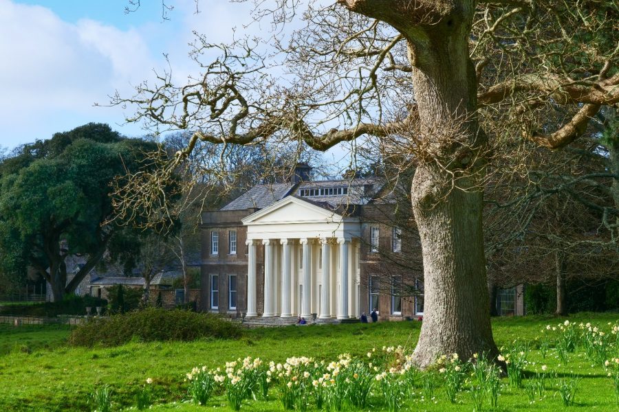 Trelissick_house_in_spring___National_Trust_Images_Hilary_Daniel