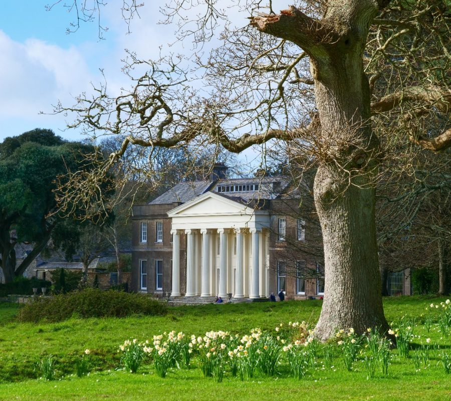 Trelissick_house_in_spring___National_Trust_Images_Hilary_Daniel