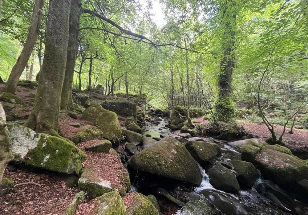 Untitled-1_0000_img-20220625-wa0004