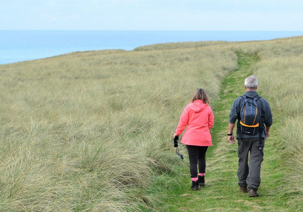 Untitled-1_0000_swcp_walking