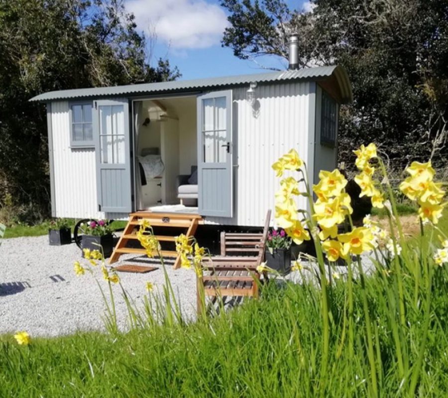 Untitled-1_0002_937c3f_069b46b6e7ba4016adb8c1aa35283d39_mv2-pu4eoalaqdzl9sjwxg6jfuiai9y3dgvmr0h3zze2xk