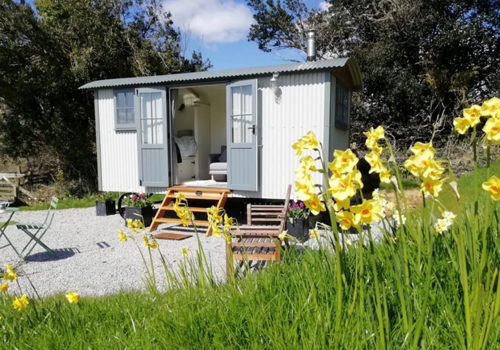 Untitled-1_0002_937c3f_069b46b6e7ba4016adb8c1aa35283d39_mv2