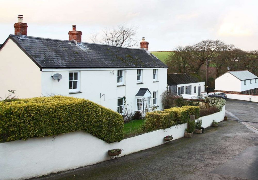 Untitled-1_0002_littleroseveth-jan16-100