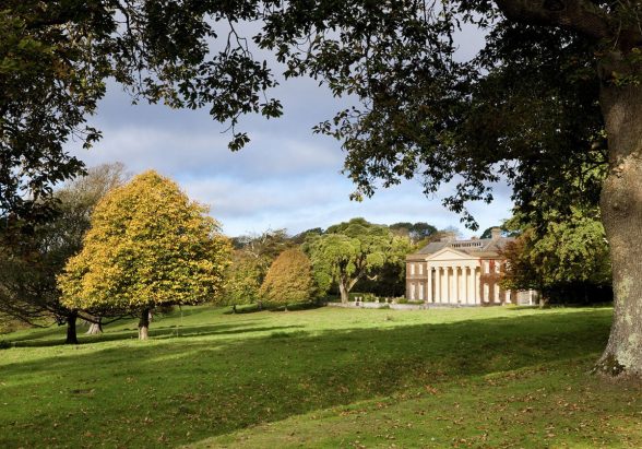 Untitled-1_0003_288726185_5551349004896099_3256137677148419765_n