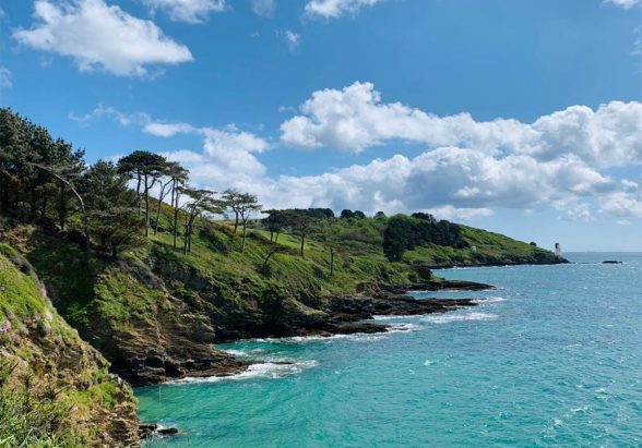 Untitled-1_0003_img-20220629-wa0009 Untitled-1_0003_img-20220629-wa0009