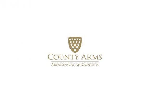 Untitled-1_0004_county_arms_logo
