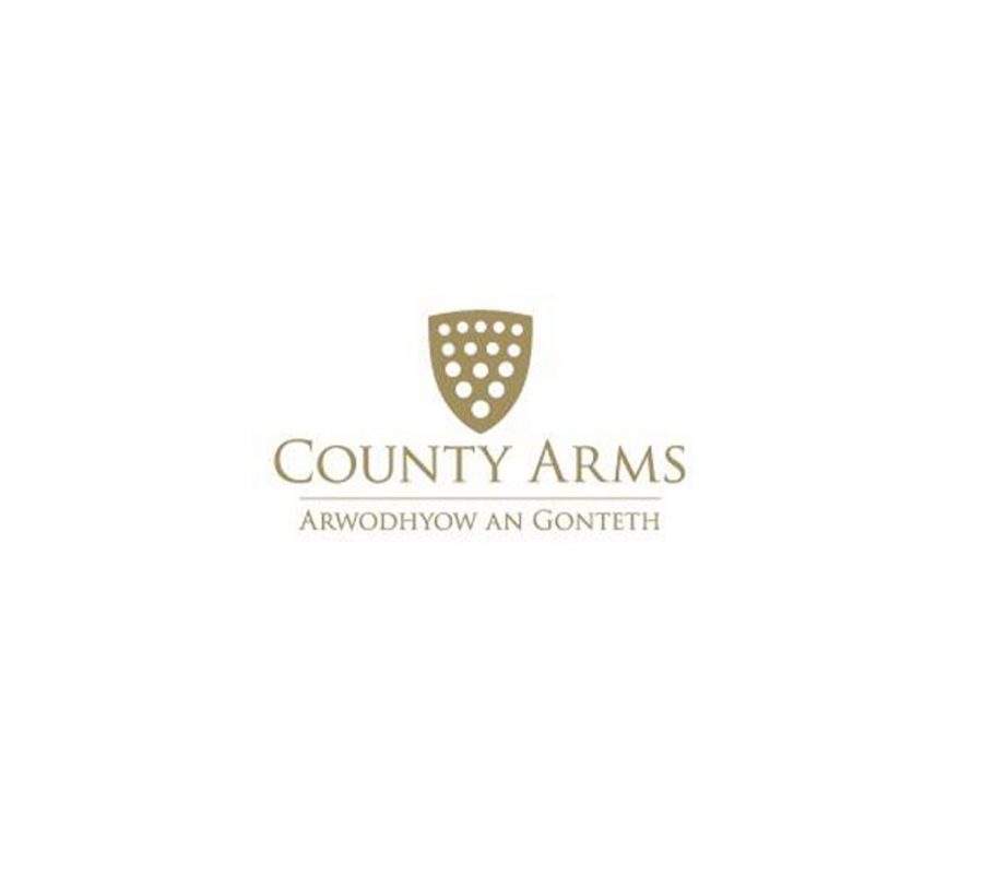 Untitled-1_0004_county_arms_logo