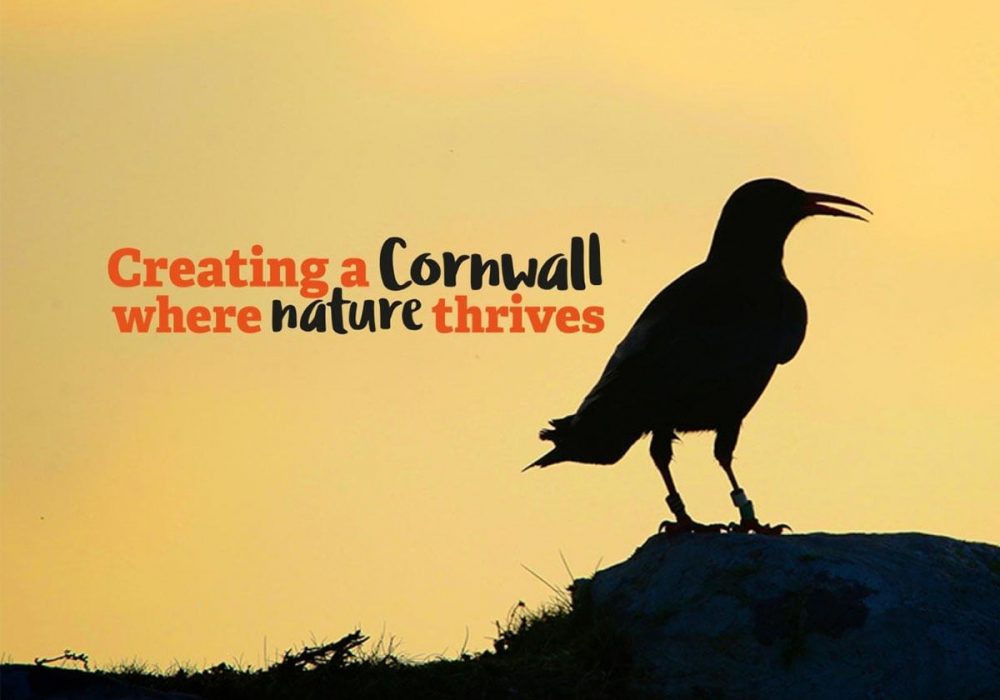 Untitled-1_0005_307691932_458775269617436_1435715162999345750_n