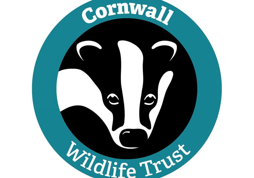 Untitled-1_0006_307846980_458774896284140_1251013028416419549_n