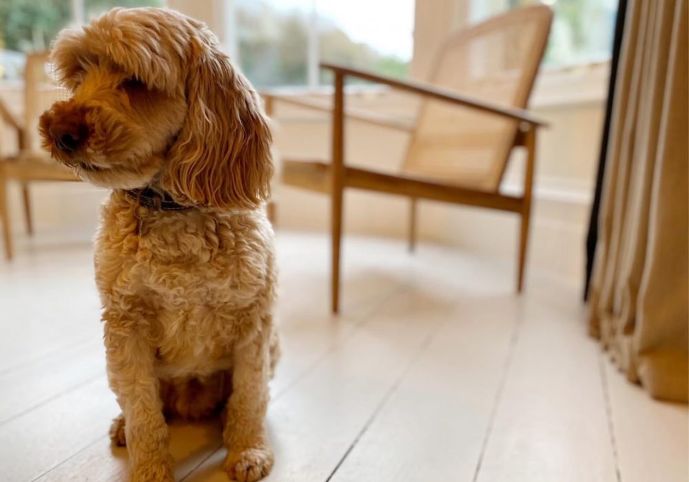 Hotel VARA Truro, Cornwall