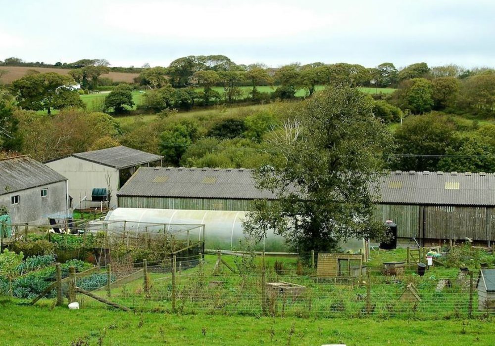 Untitled-1_0006_little-roseveth-bed-and-breakfast_4