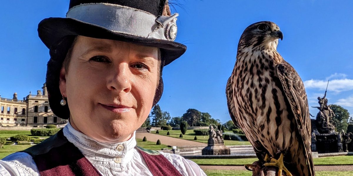 Victorian-falconer-and-a-merlin-prepare-for-displays-at-National-Trust-Trelissick