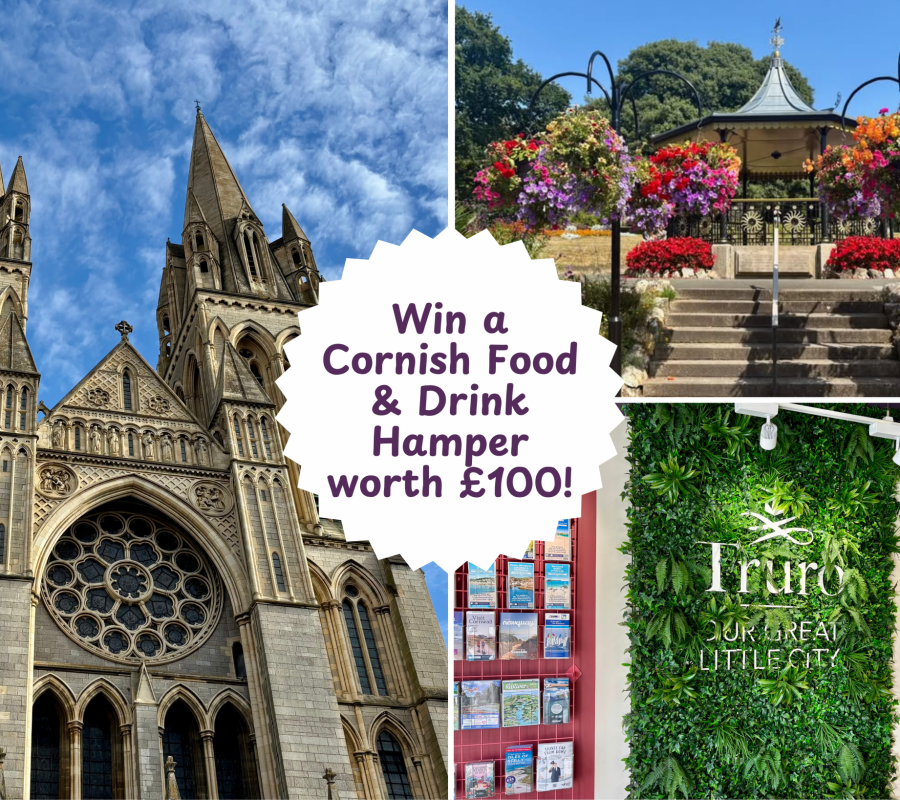 Visit Truro 2026 Visitor Survey