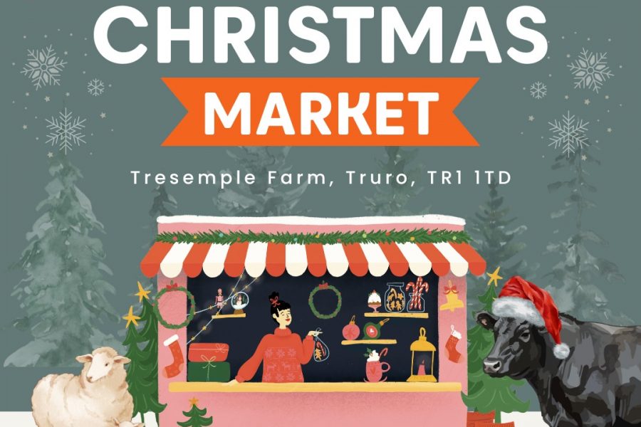 WhatsApp-Image-2025-11-21-at-12.36.21