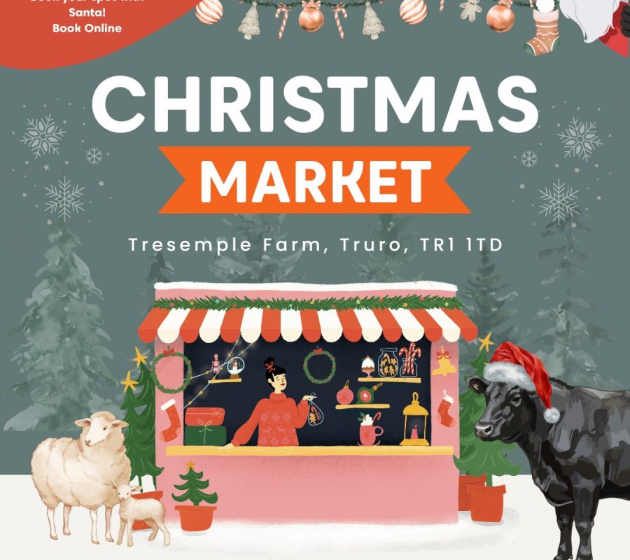 WhatsApp-Image-2025-11-21-at-12.36.21