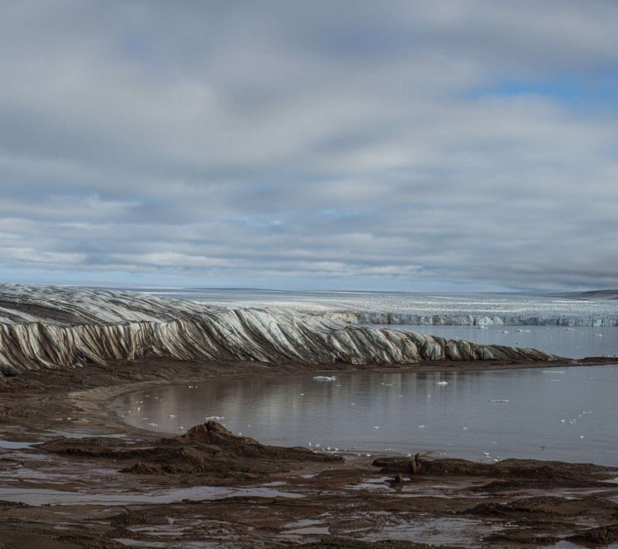 cornwall-museum-and-art-gallery-arctic-expedition-exhibition