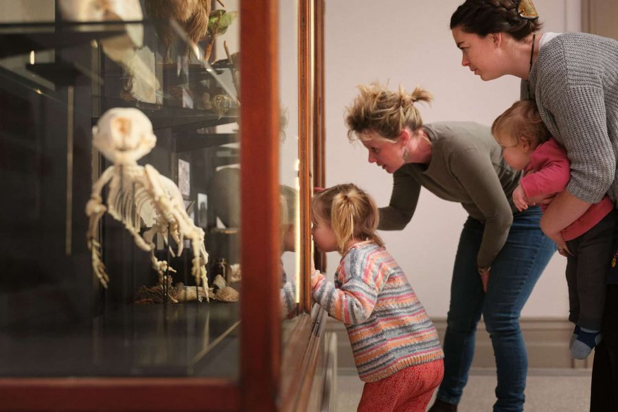 cornwall-museum-and-art-gallery-augusta-the-seal-3