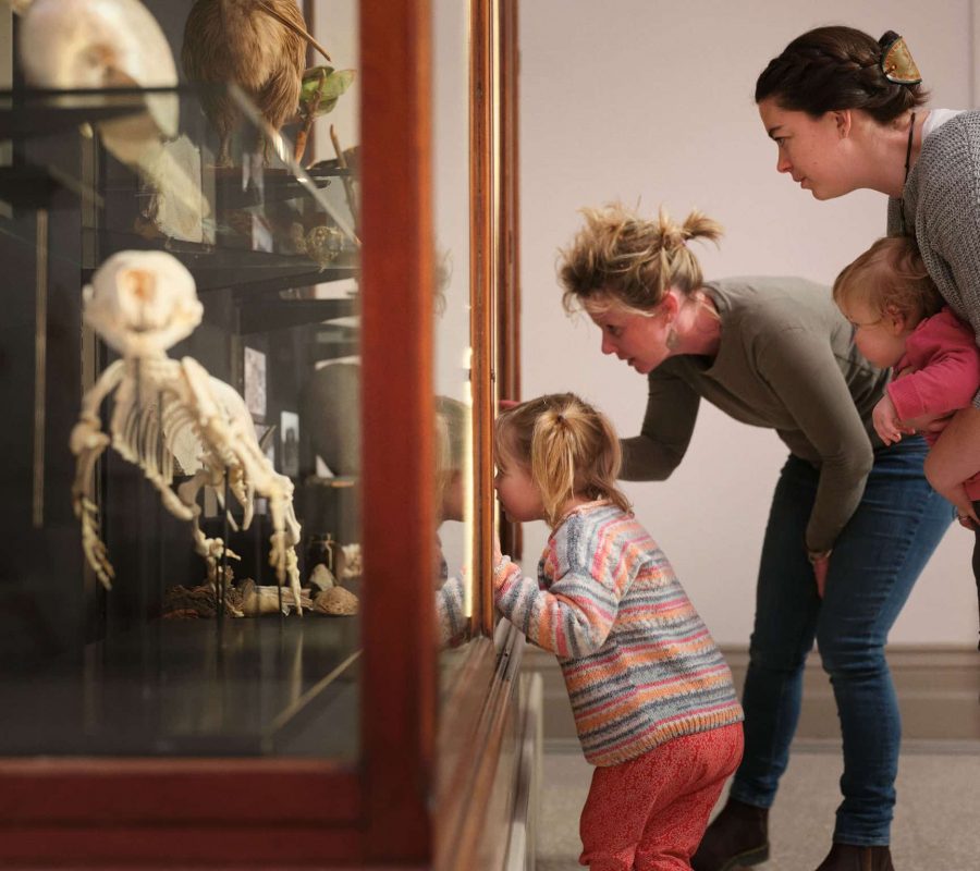 cornwall-museum-and-art-gallery-augusta-the-seal-3