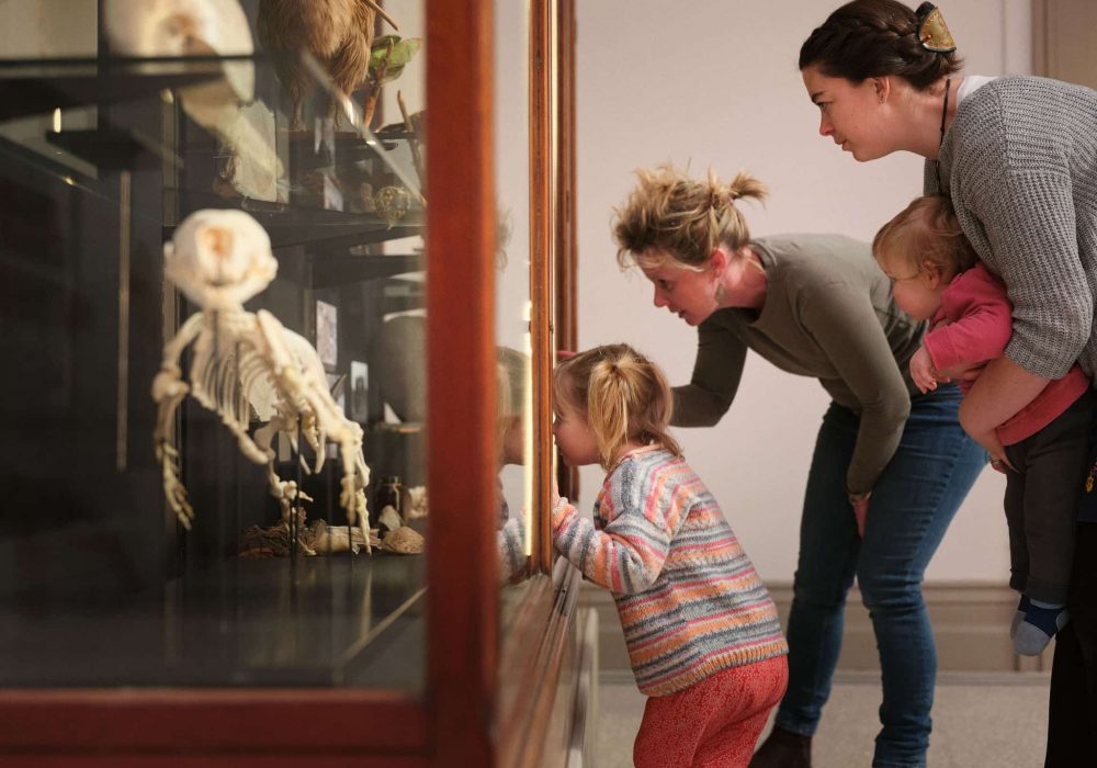 cornwall-museum-and-art-gallery-augusta-the-seal-3