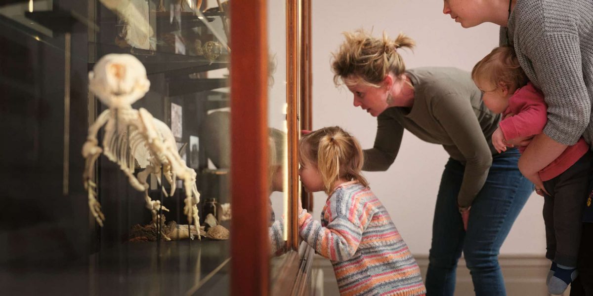 cornwall-museum-and-art-gallery-augusta-the-seal-3