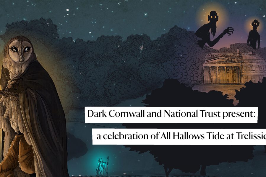 dark-cornwall-landscape-DMOs
