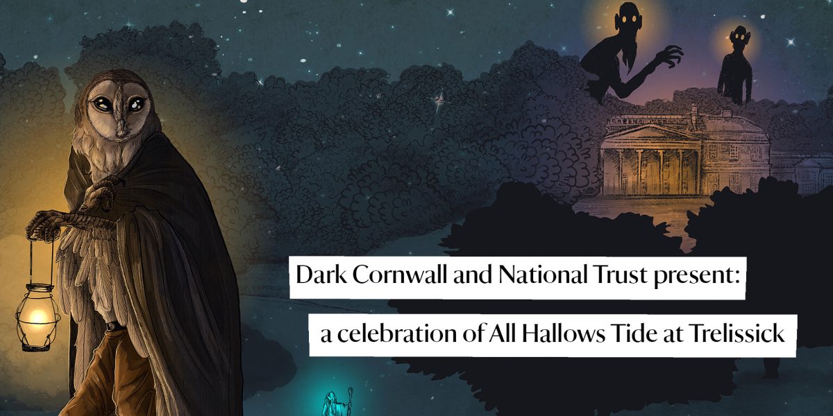 dark-cornwall-landscape-DMOs