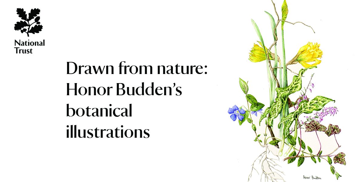 drawn-from-nature-landscape